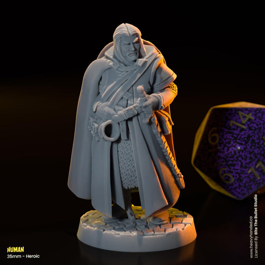 Human Miniature (Boromir) | Dungeons and Dragons Mini RPG Tabletop Miniature DnD Painting Pathfinder 5e DnD | BtB