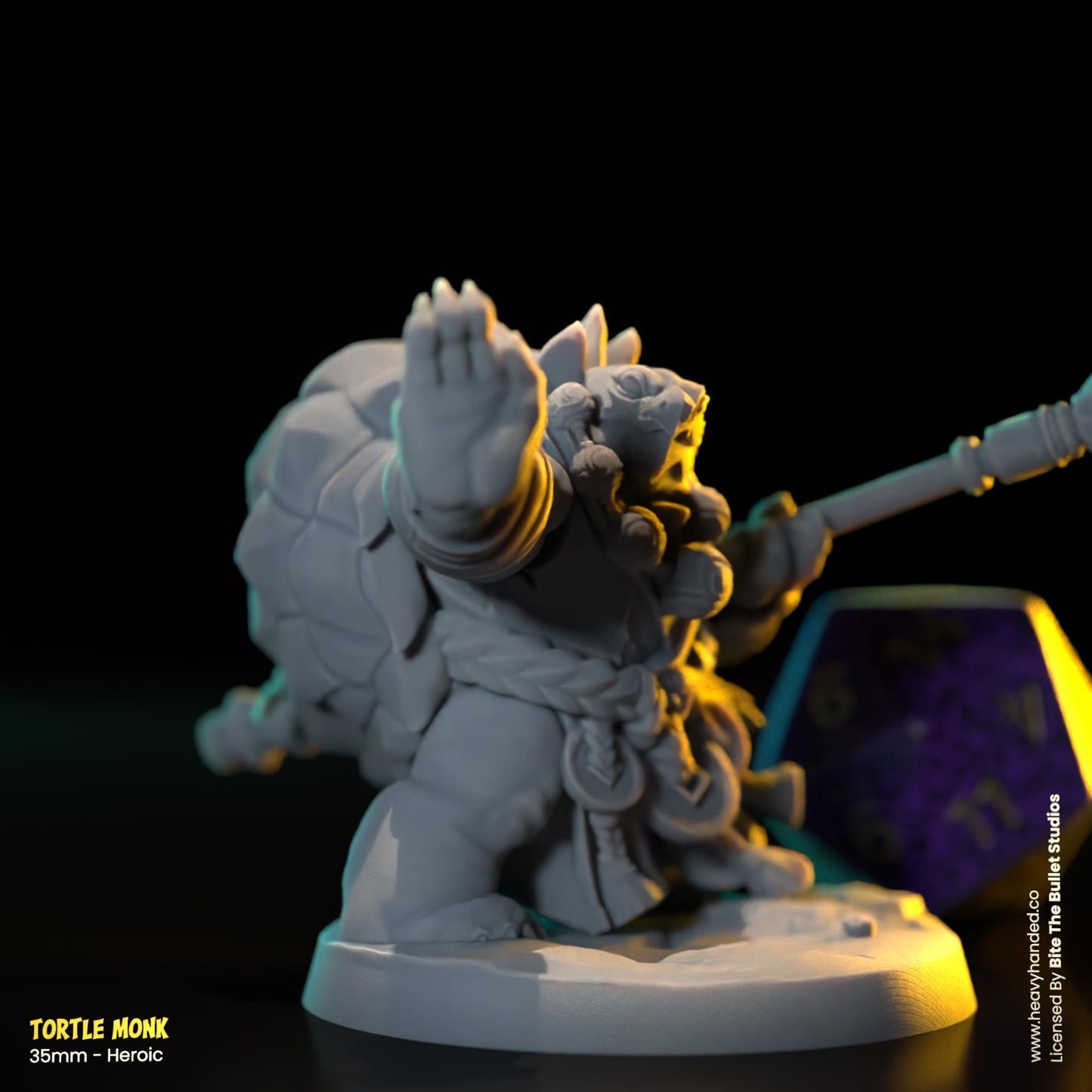 Tortle Monk | Bite the Bullet | Tortles | Tabletop RPG and D&D Fantasy Miniature