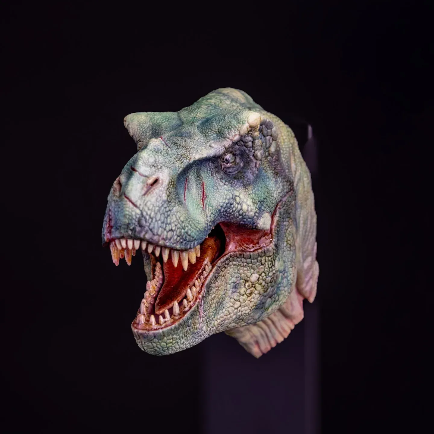 Komodo T-Rex — view 5