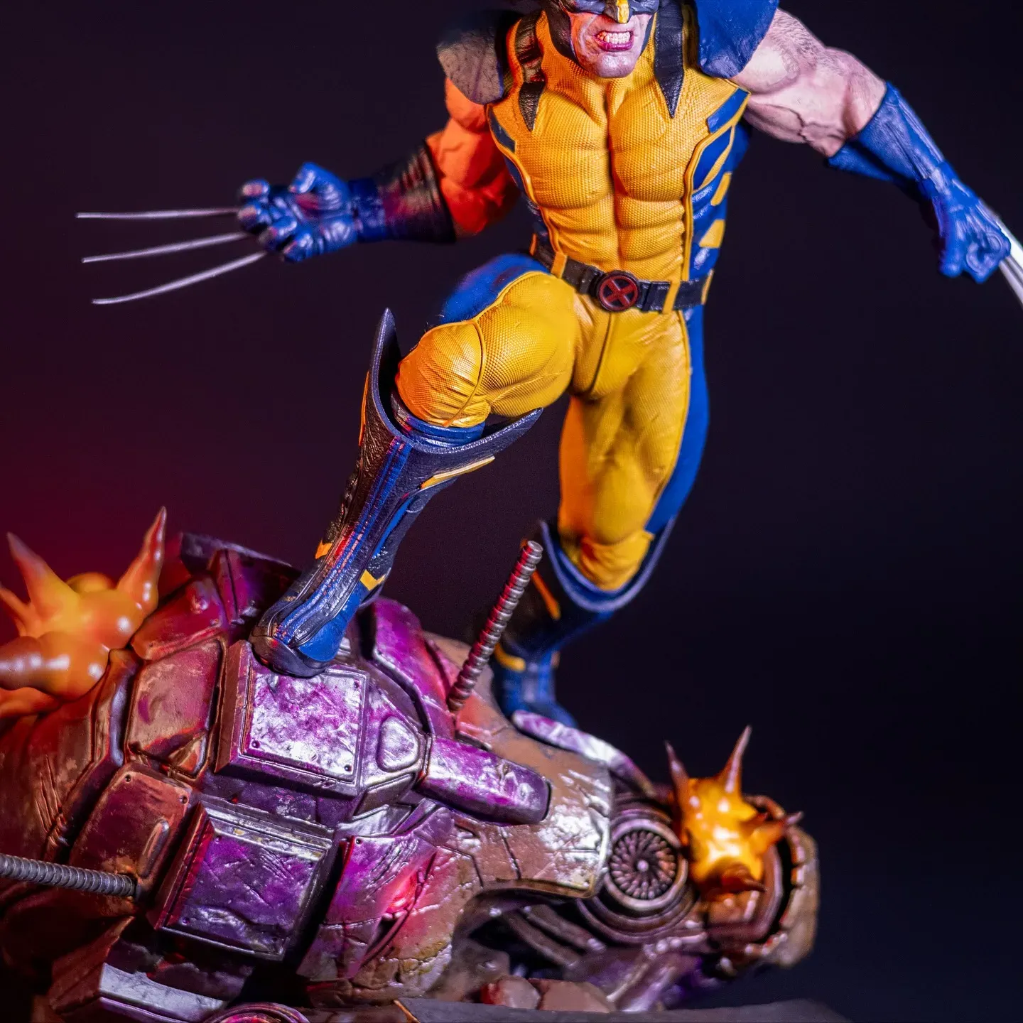 Wolverine — view 7