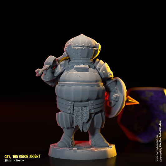 Cry, The Onion Knight | Bullet Souls Pt. 2 | Bite the Bullet | Fantasy Miniature | Dark Souls | Siegmeyer of Catarina | D&D | RPG Model