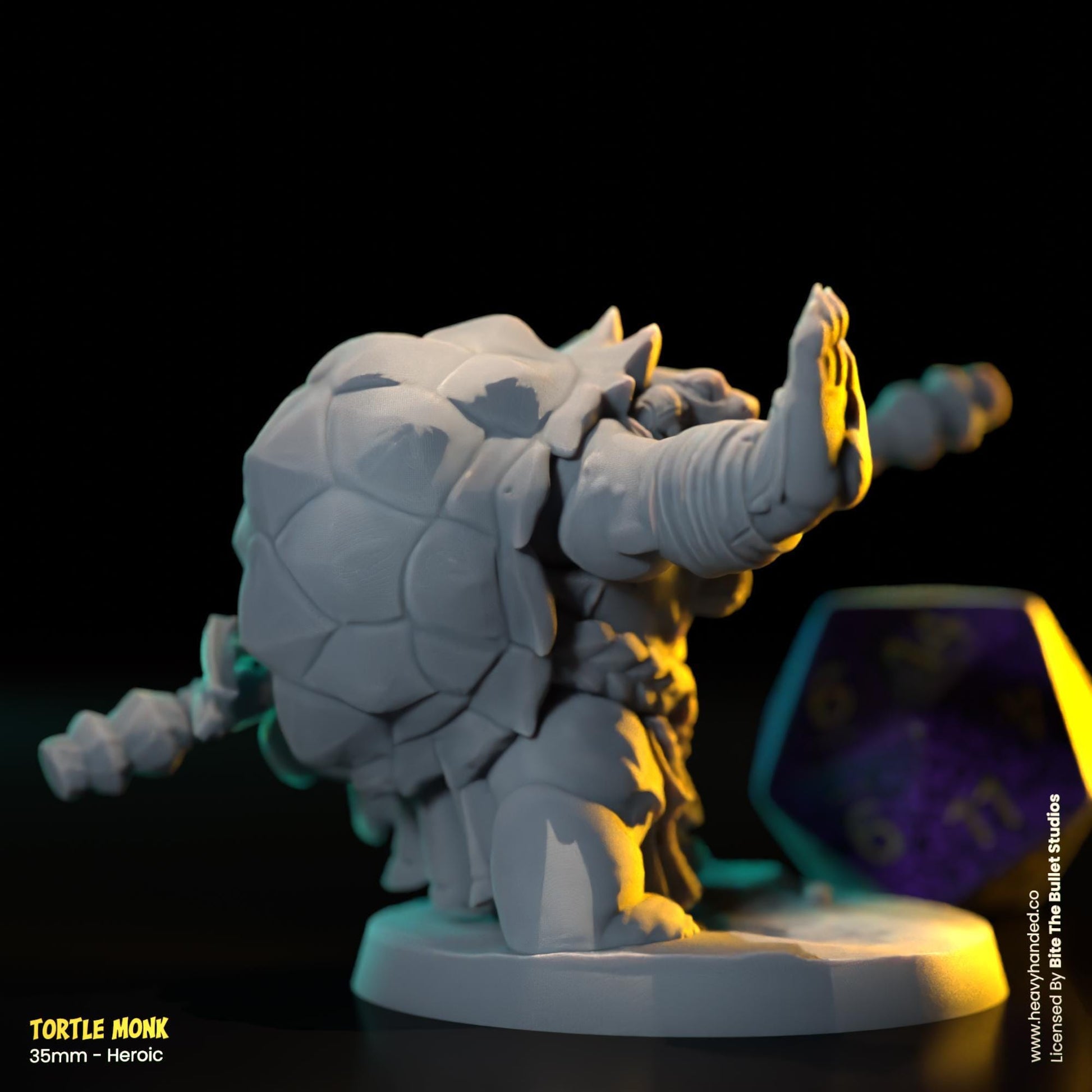 Tortle Monk | Bite the Bullet | Tortles | Tabletop RPG and D&D Fantasy Miniature