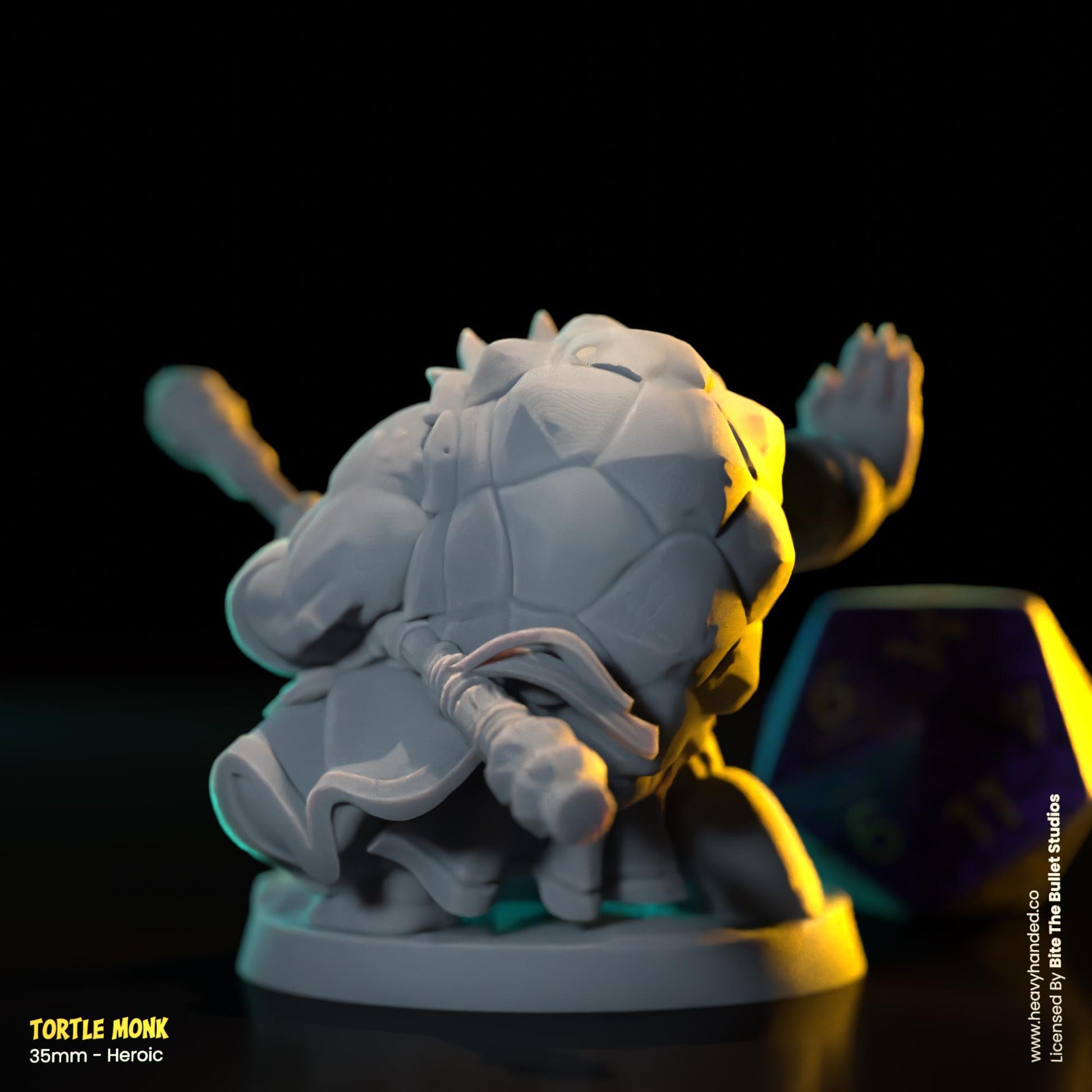 Tortle Monk | Bite the Bullet | Tortles | Tabletop RPG and D&D Fantasy Miniature