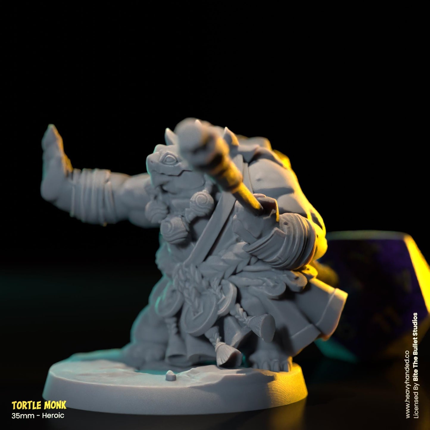 Tortle Monk | Bite the Bullet | Tortles | Tabletop RPG and D&D Fantasy Miniature